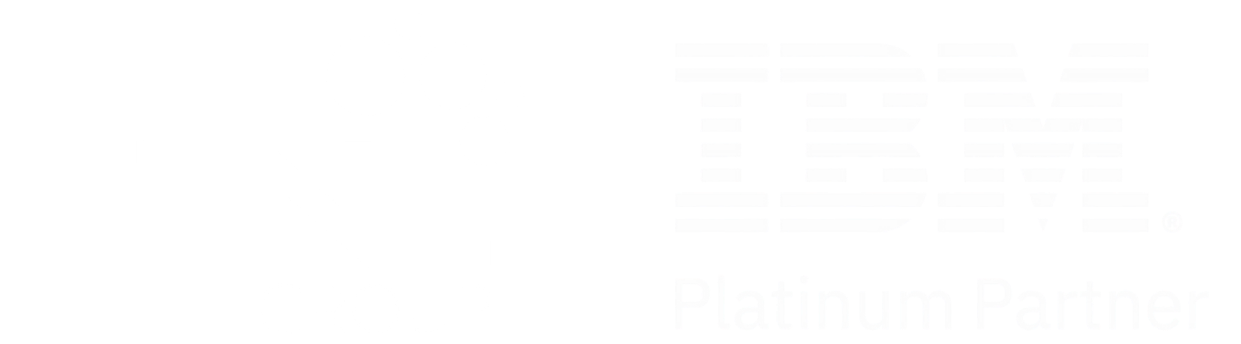 ttnl group_IBM partner