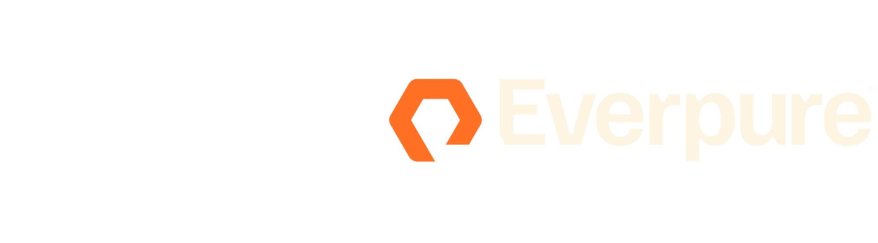 ttnl group_everpure